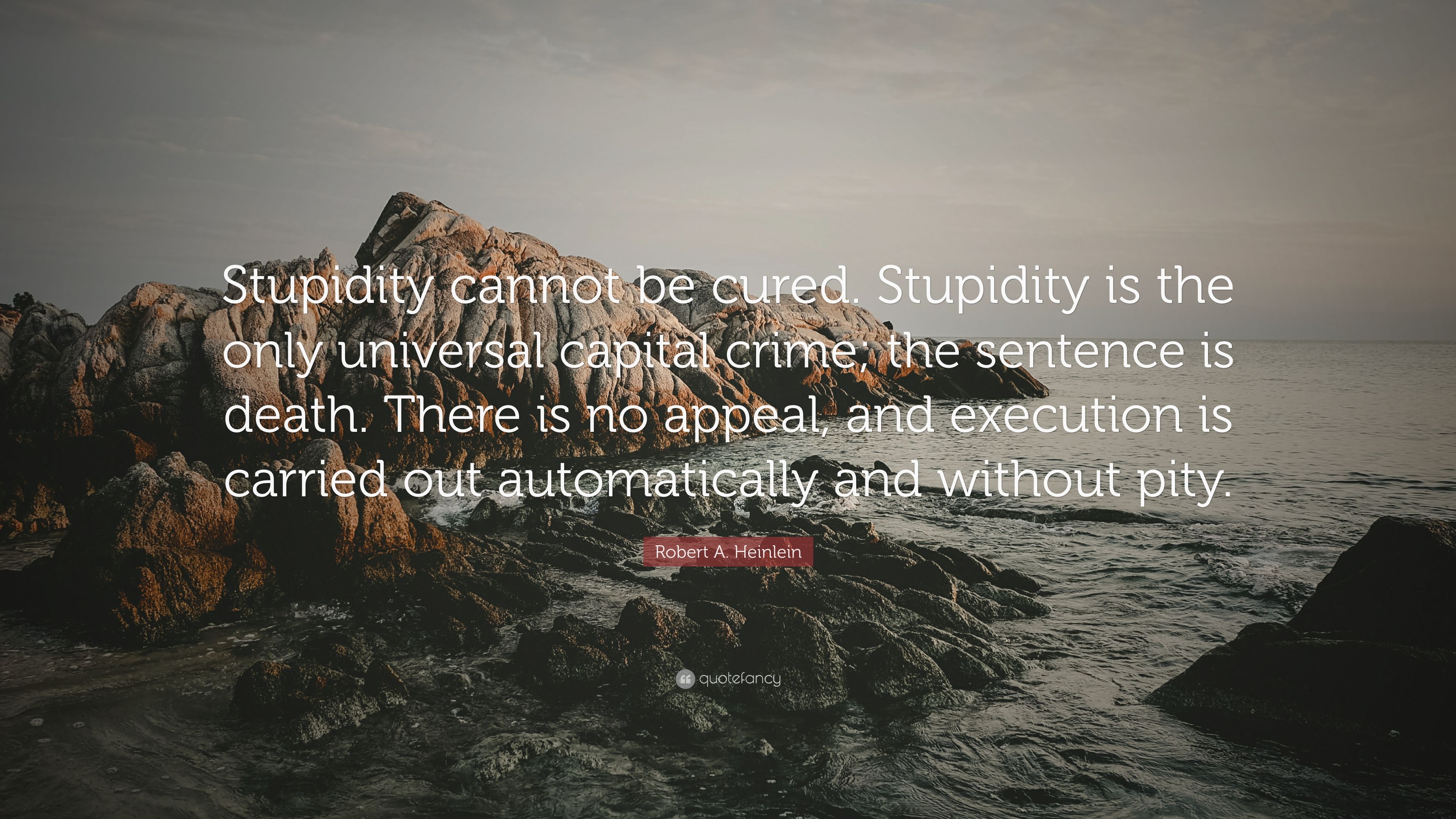 Heinlein Stupidity Quote