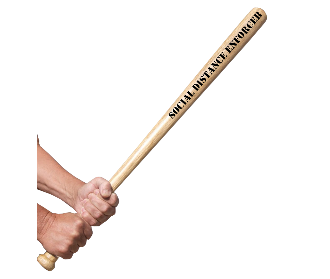 Bat In Hand